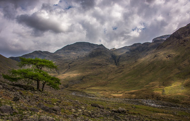 Roaming among the mountains 