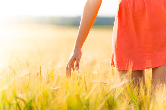 Girl in red dress walking on wheat field