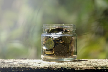 Savings Coins - Investment And Interest Concept