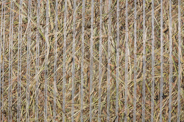  hay background © Anatol