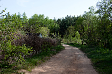 Fototapeta na wymiar Природа возле города Чернигов, Украина