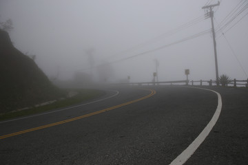 Fog on the street