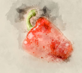Fototapeta premium Fresh red peppers. Watercolor background