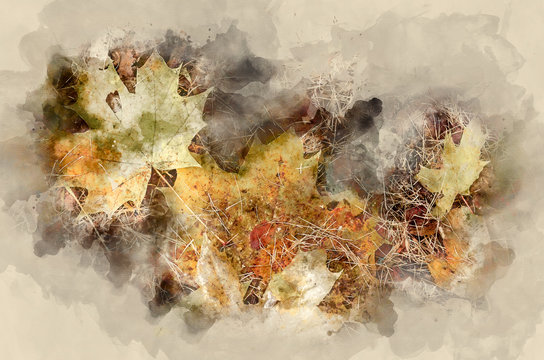 Colorful autumn leaves. Watercolor background © nnv