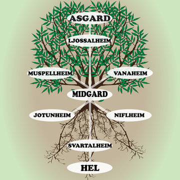 Yggdrasil – vector World tree from Scandinavian mythology. Ash with green leaves and deep-reaching roots is a symbol of the universe. The Vikings believed that Yggdrasill stores and connects 9 worlds