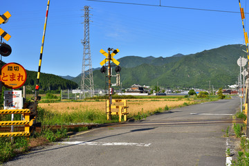 初夏・播但線の風景