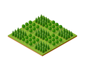 Obraz premium Isometric 3d trees forest camping nature elements white background for landscape design. Vector illustration isolated. Icons for city maps, games and your town