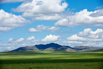 Fototapeta premium 心をいやす草原の全景