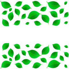 Leaves green background