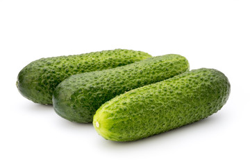 The first spring ecologically cucumbers.