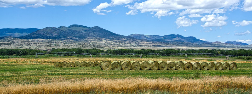 Hay Bales in the San Luis Valley