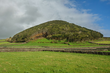 Hill with trees sorrounded with meadows
