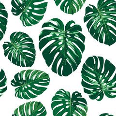 Seamless monstera palm leaves pattern for your summer background. Vector tropical illustration