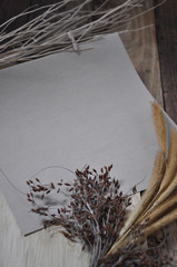 Blank Paper for Copyspace with Dried Flowers