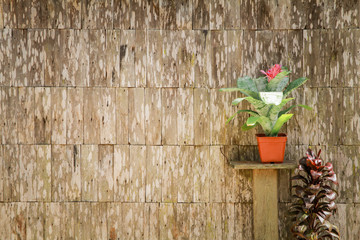 a pink flower pot with old wood wall 