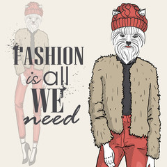 Vector color sketch of model