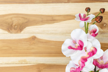 Pink flowers on wooden floor