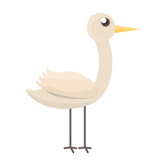 Stork bird cartoon