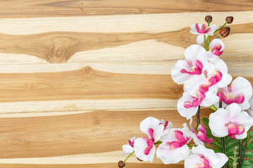 Fototapeta na wymiar Pink flowers on wooden floor