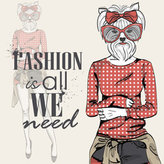 Vector color sketch of model