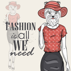 Vector color sketch of model