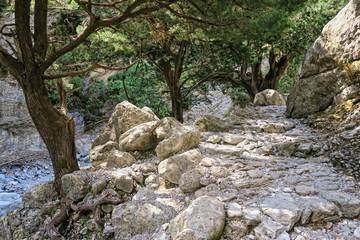 landscape of Samaria Gorge at Crete (Greece).