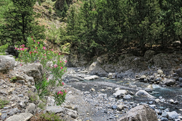 landscape of Samaria Gorge at Crete (Greece).