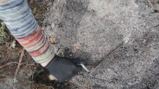 Stage of archaeological work - the search for found