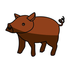 Pig farm animal