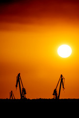 Fototapeta na wymiar Landscape of a cranes in a harbor at sunset with clouds