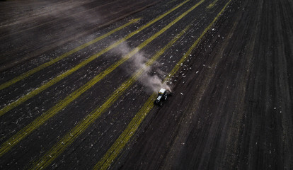 The white tractor plows the field against the backdrop of the black earth, and behind it birds fly and collect food. Aeril view. Agricultural machinery works in the field of spring planting. Plowing