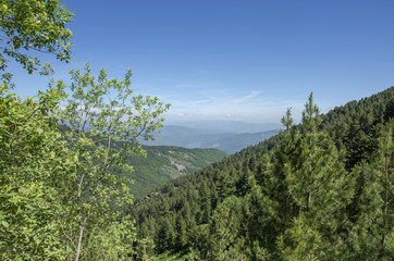 Pelister National Park, Macedonia