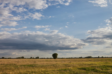 Naklejka premium Landscape with green and yellow grass with beautiful clouds in the background on a bright sunny day