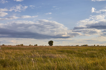 Naklejka premium Landscape with green and yellow grass with beautiful clouds in the background on a bright sunny day