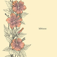 Beautiful background with hibiscus flowers. Vintage style. Vector illustration. © KseniaKrop