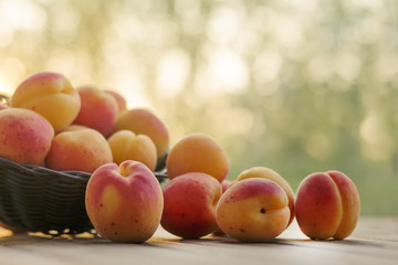 Ripe apricots in basket on wooden background