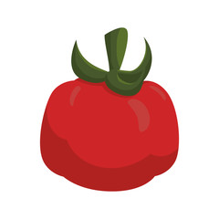 Red tomato vegetable