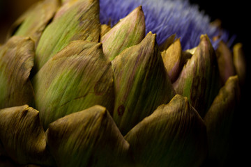 Fototapeta premium Abstract flowers on black background.