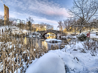 Central Park, New York City