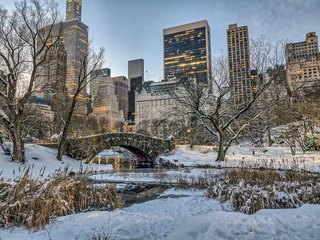 Fotobehang New York Central Park, New York City  © John Anderson