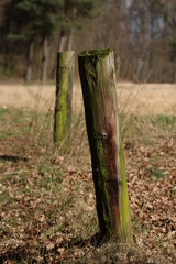 Holzzaun mit Tiefenunschärfe