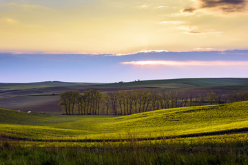 South Moravia landscape and farmland