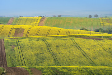 Colorful wavy hills in South Moravia