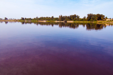 The pink Lake Retba in Senegal, West Africa