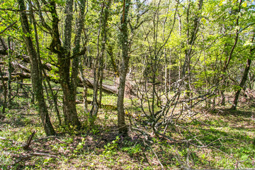 The slopes of the mountains near the village of Laspi