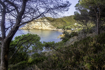 Isola d' Elba
