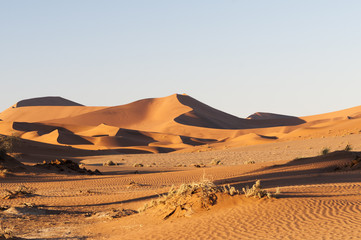 Fototapeta na wymiar Dunes in the Namib Desert