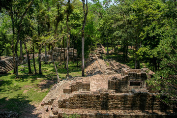 Fototapeta na wymiar Copan, Mayan ruins in Honduras
