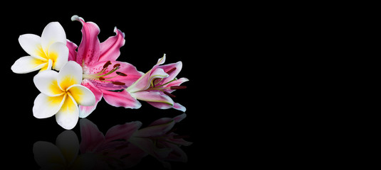 Frangipani or Plumeria and lily flower on black background with copy space. Spa background.