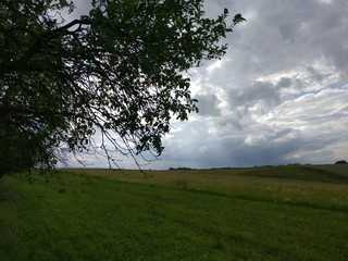 Bum im Wolkengeflächt